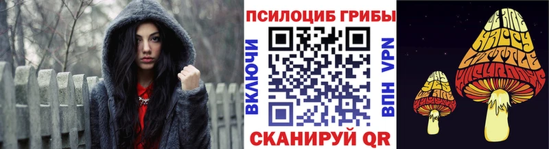 darknet наркотические препараты  Старый Крым  Псилоцибиновые грибы Magic Shrooms 